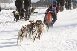 Lenk 2012 SM